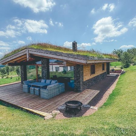 Chalets Resort Cínovec エクステリア 写真
