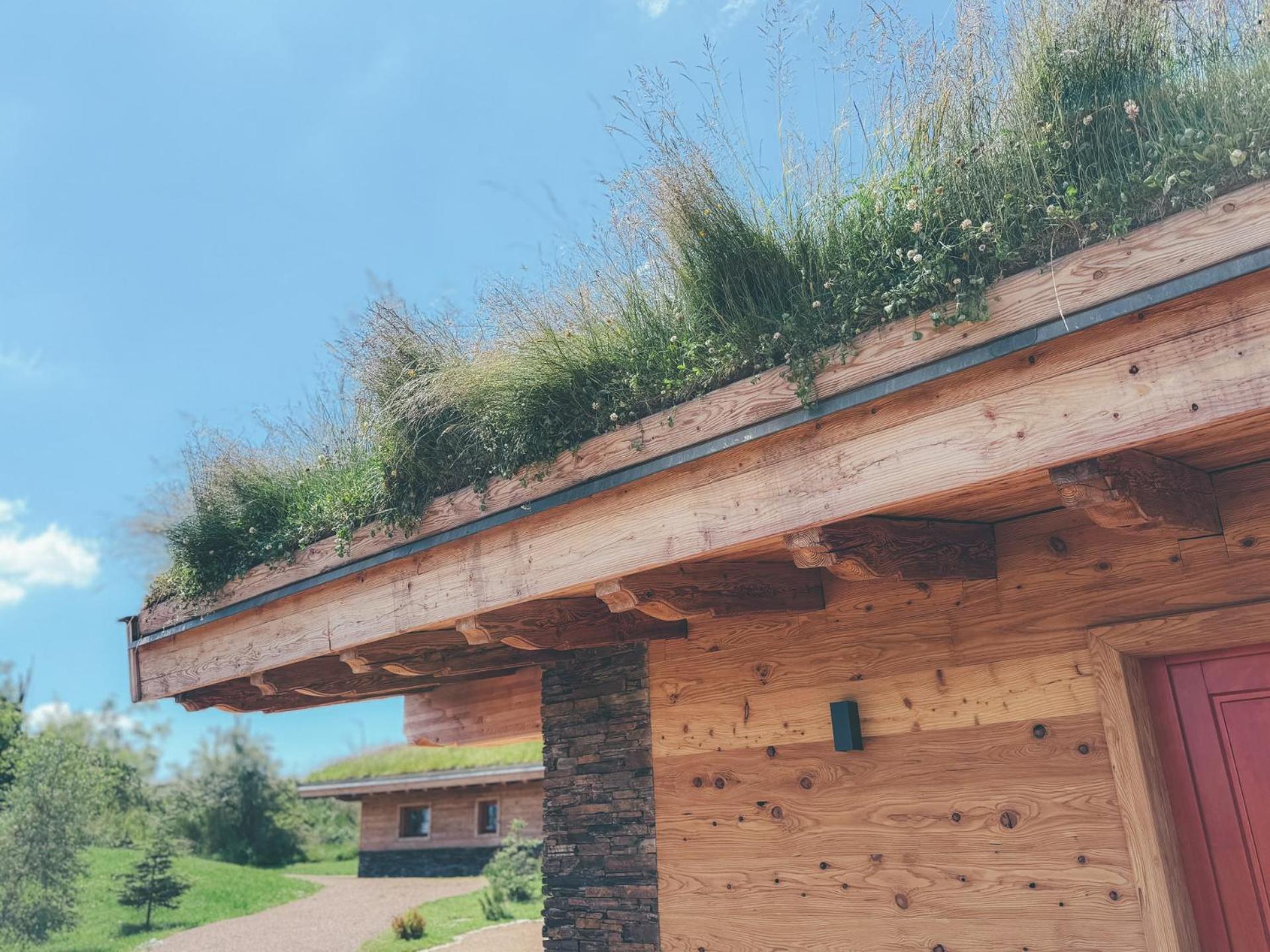 Chalets Resort Cínovec エクステリア 写真